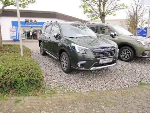 Used SUBARU FORESTER Petrol 2024 Ad 