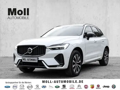 Annonce VOLVO XC60 Diesel 2023 d'occasion 