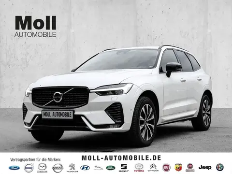 Annonce VOLVO XC60 Diesel 2023 d'occasion 