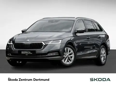 Used SKODA OCTAVIA Diesel 2023 Ad 