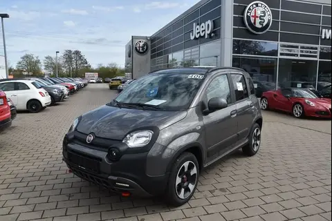 Used FIAT PANDA Petrol 2024 Ad 