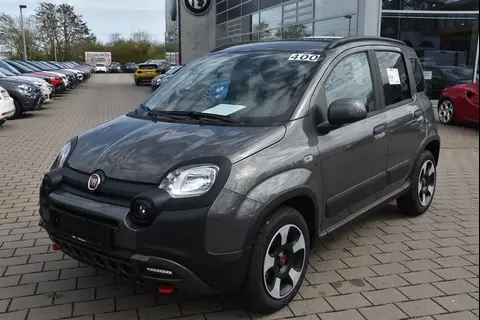 Used FIAT PANDA Petrol 2024 Ad 