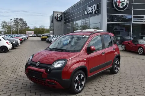 Used FIAT PANDA Petrol 2024 Ad 