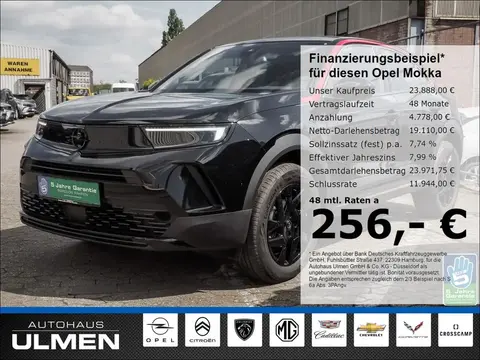 Used OPEL MOKKA Petrol 2023 Ad 