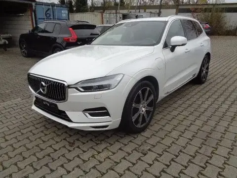 Used VOLVO XC60 Hybrid 2019 Ad 