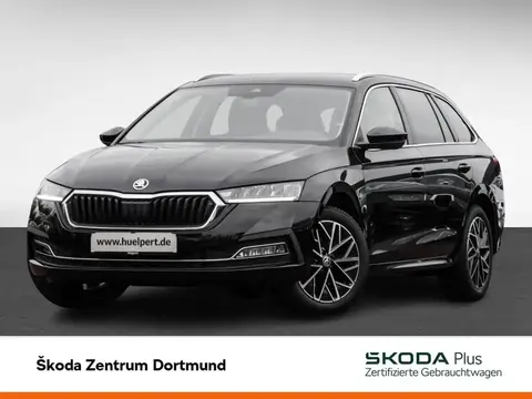 Used SKODA OCTAVIA Diesel 2023 Ad 