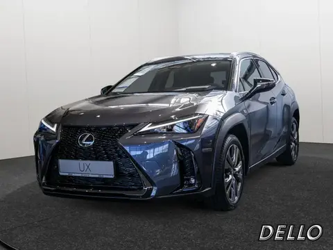 Annonce LEXUS UX Hybride 2024 d'occasion 