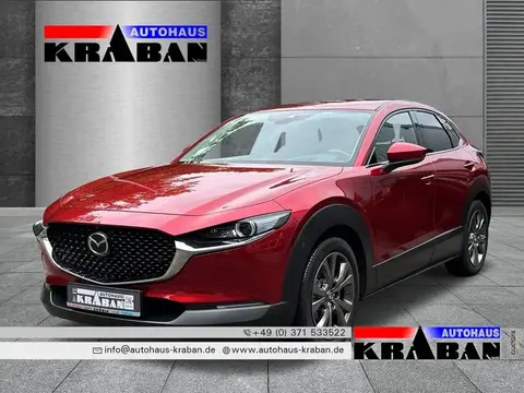 Annonce MAZDA CX-30 Essence 2024 d'occasion 