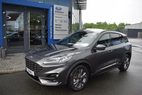 Used FORD KUGA Diesel 2024 Ad 