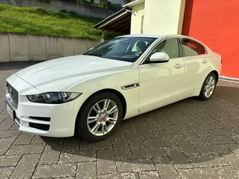 Annonce JAGUAR XE Essence 2018 d'occasion 