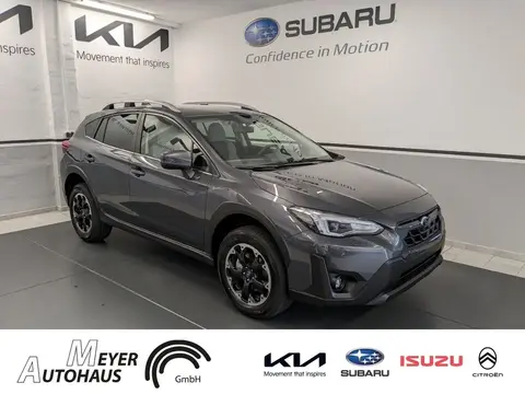 Annonce SUBARU XV Essence 2024 d'occasion 