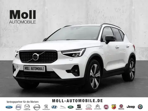 Used VOLVO XC40 Hybrid 2023 Ad 