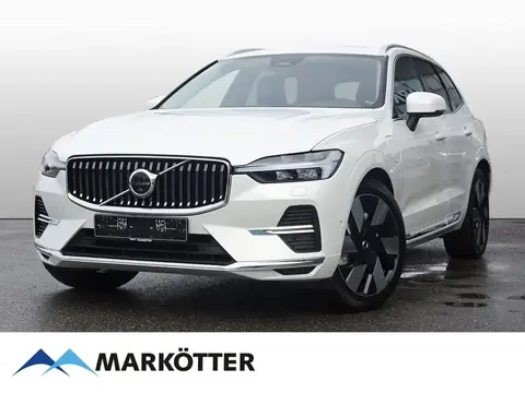 Used VOLVO XC60 Hybrid 2024 Ad 