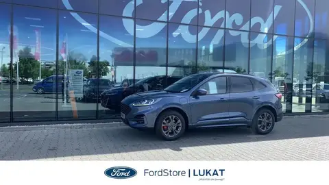 Used FORD KUGA Hybrid 2024 Ad 