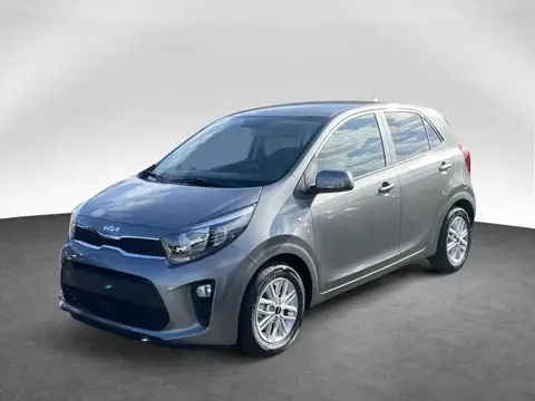 Annonce KIA PICANTO Essence 2024 d'occasion 