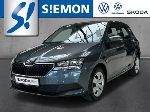 Used SKODA FABIA Petrol 2019 Ad 