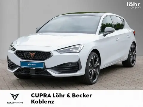 Used CUPRA LEON Petrol 2024 Ad 