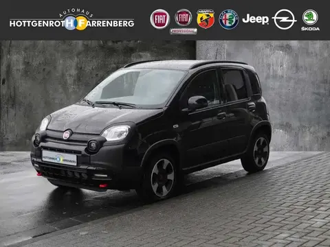 Used FIAT PANDA Petrol 2024 Ad 