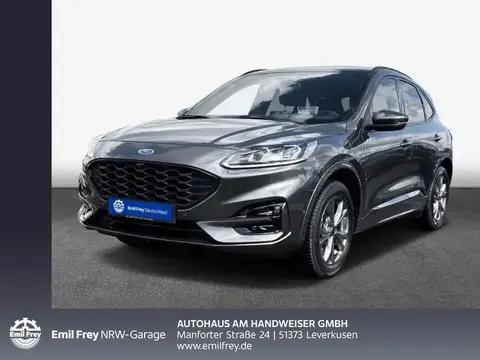 Annonce FORD KUGA Hybride 2023 d'occasion 