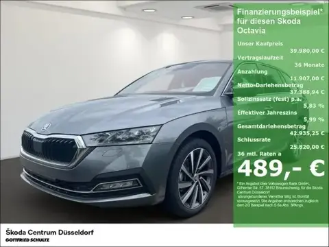 Annonce SKODA OCTAVIA Diesel 2024 d'occasion 