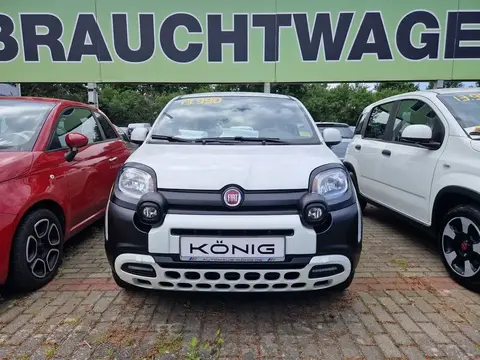 Used FIAT PANDA Petrol 2023 Ad 