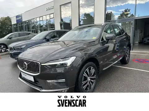 Annonce VOLVO XC60 Diesel 2021 d'occasion 