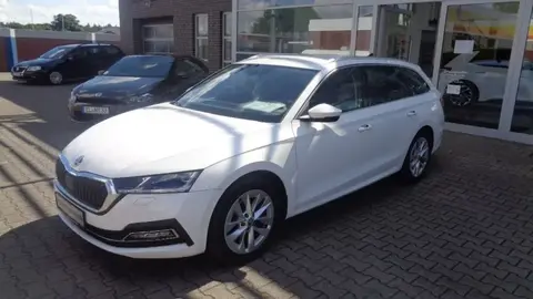 Annonce SKODA OCTAVIA Diesel 2021 d'occasion 