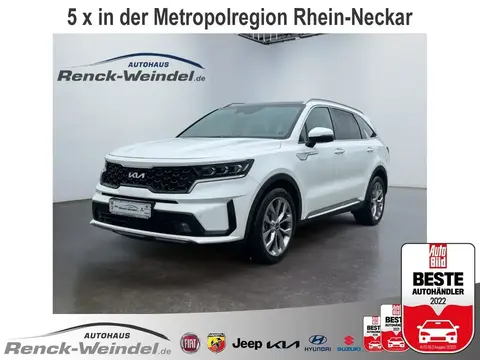 Annonce KIA SORENTO Diesel 2023 d'occasion 