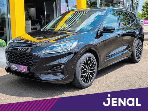 Annonce FORD KUGA Hybride 2020 d'occasion 