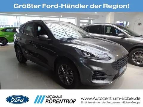 Annonce FORD KUGA Hybride 2023 d'occasion 