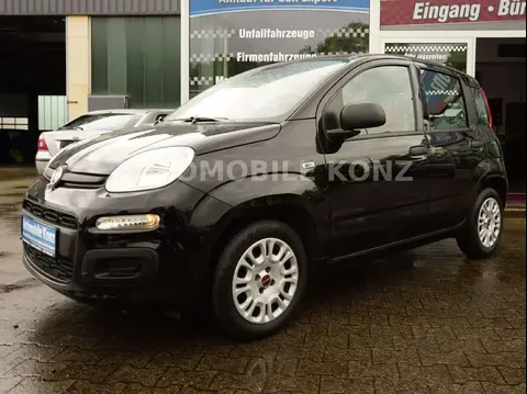 Used FIAT PANDA Petrol 2021 Ad 