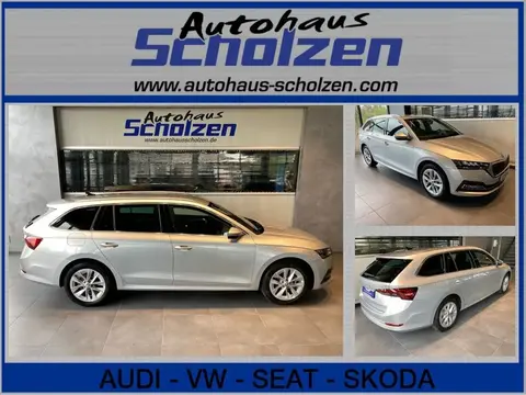 Used SKODA OCTAVIA Diesel 2024 Ad 