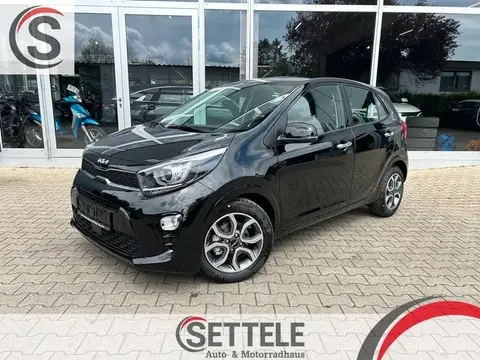 Used KIA PICANTO Petrol 2024 Ad 