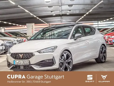 Used CUPRA LEON Petrol 2024 Ad 