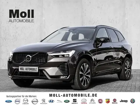 Annonce VOLVO XC60 Diesel 2023 d'occasion Allemagne