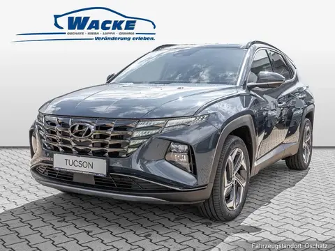 Annonce HYUNDAI TUCSON Hybride 2024 d'occasion 