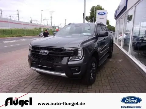 Annonce FORD RANGER Diesel 2024 d'occasion 