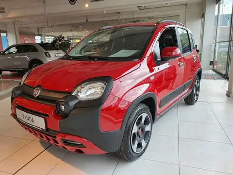 Annonce FIAT PANDA Essence 2024 d'occasion 