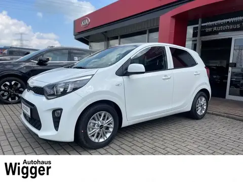 Used KIA PICANTO Petrol 2024 Ad 