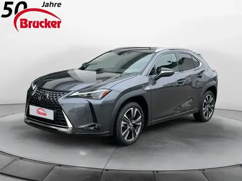 Used LEXUS UX Hybrid 2023 Ad 