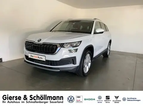 Used SKODA KODIAQ Petrol 2023 Ad 