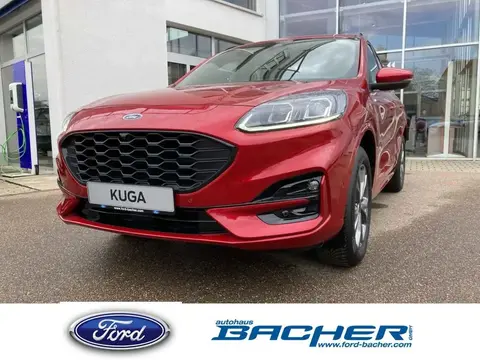 Used FORD KUGA Hybrid 2024 Ad 