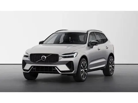 Annonce VOLVO XC60 Diesel 2024 d'occasion 