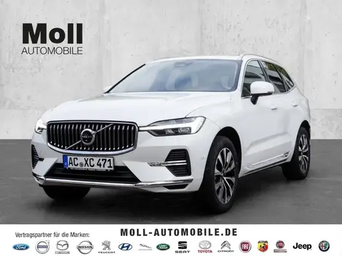 Annonce VOLVO XC60 Diesel 2024 d'occasion 