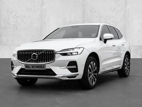 Annonce VOLVO XC60 Diesel 2024 d'occasion 