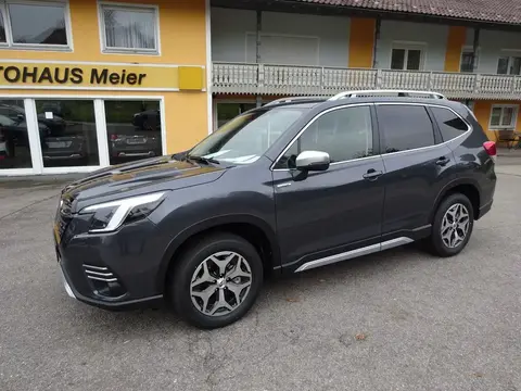 Annonce SUBARU FORESTER Essence 2024 d'occasion 