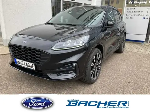 Annonce FORD KUGA Hybride 2024 d'occasion 