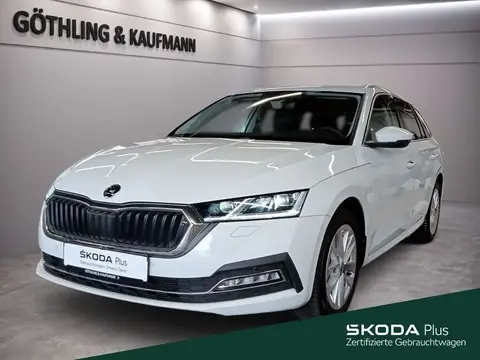 Annonce SKODA OCTAVIA Diesel 2023 d'occasion 