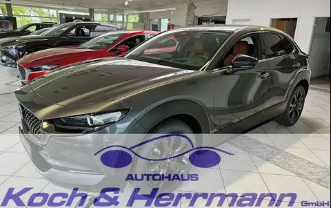 Annonce MAZDA CX-30 Hybride 2024 d'occasion 