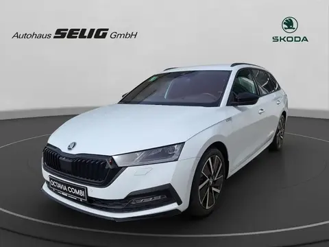 Annonce SKODA OCTAVIA Essence 2023 d'occasion 